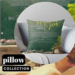 Call Me by Your Name Pillows