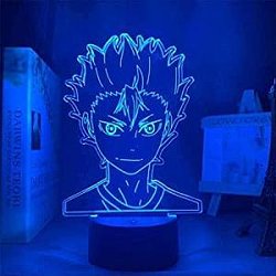 Haikyuu 3D Lamps - Lamp Yū Nishinoya Official Merch HS0911