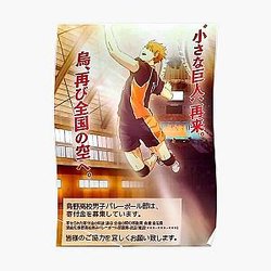 Haikyuu Posters - Hitoka’s Donation Poster Poster RB1606