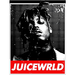 Juice Wrld Vol.013 Poster