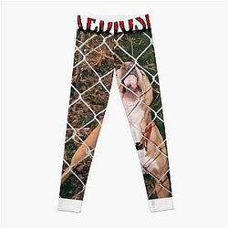 Knocked Loose Band Album Classic Legging Premium Merch Store