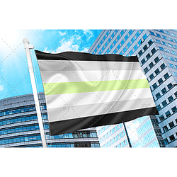 Agender Pride Flag PN0112