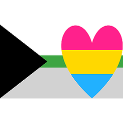 Pansexual Demiromantic Pride Flag PN0112