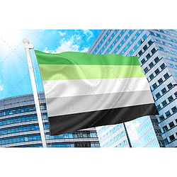 Aromantic Pride Flag PN0112