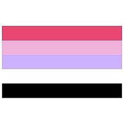 Reciprosexual flag PN0112