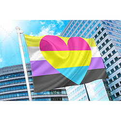 Non Binary Pansexual Flag PN0112