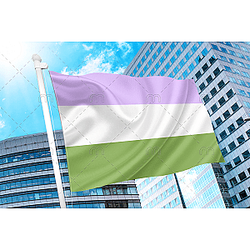 Genderqueer Pride Flag PN0112