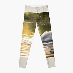 The Monster of Three Leggings RB1910